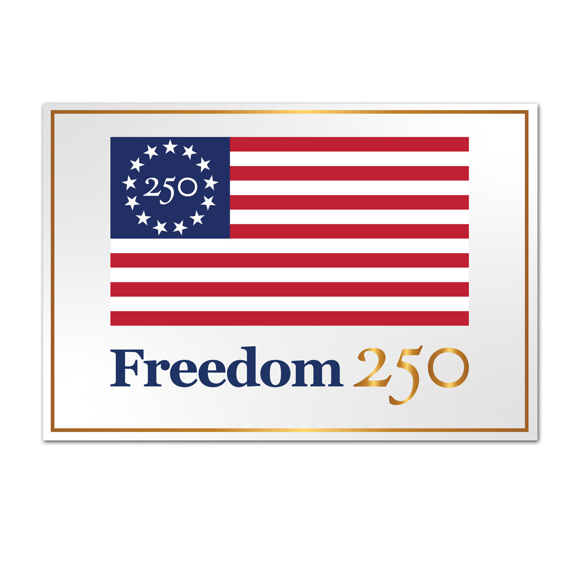 Freedom 250 Rally Signs, White (Box of 200)